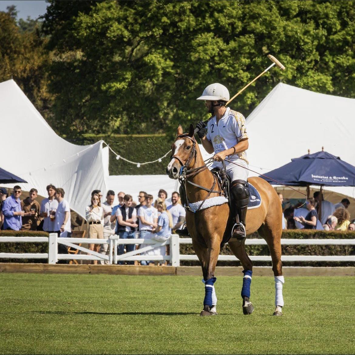 Image showcasing A trusted supplier of fencing solutions for Polo Clubs | Duralock